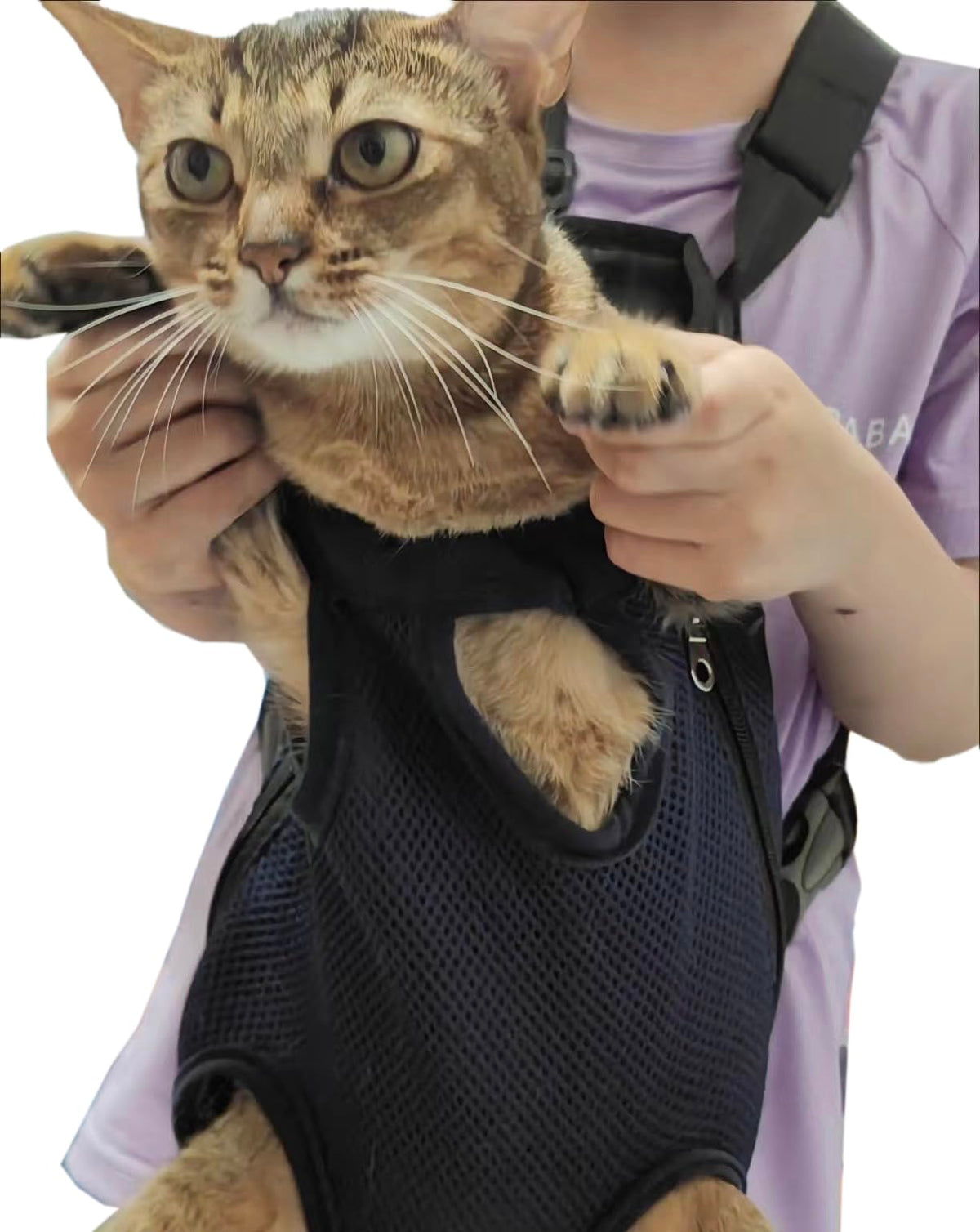 Adjustable Pet Carrier Backpack A246