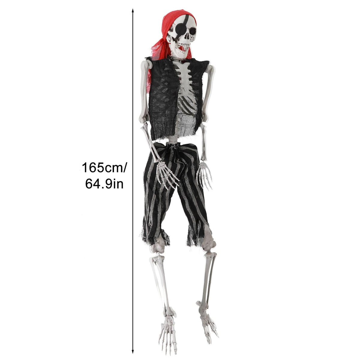 5.4Ft Poseable Skeleton with Movable Joints X200