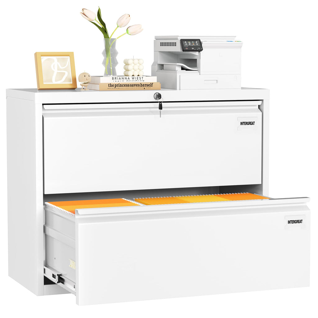 White 2 Drawer Lateral File Cabinet with Lock J756593