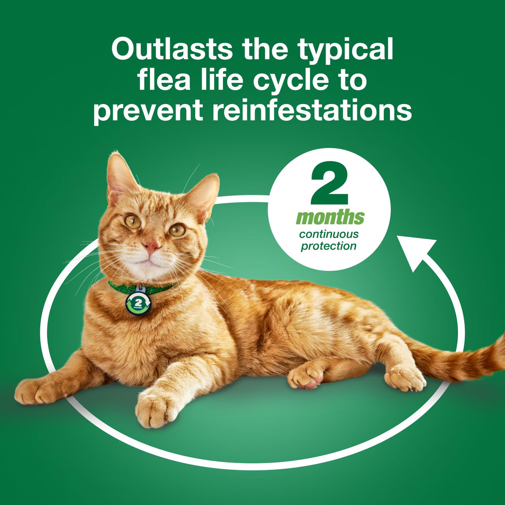 Large Cat Topical Flea Treatment & Prevention 1ct N526424