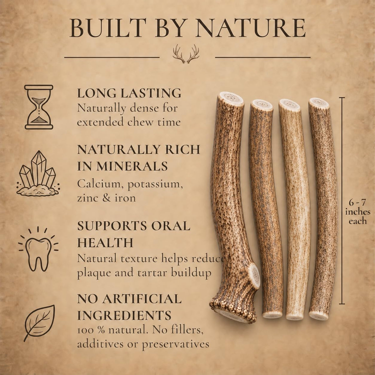 Whole Deer Antlers for Dogs 1 lb Bulk Pack Y654735