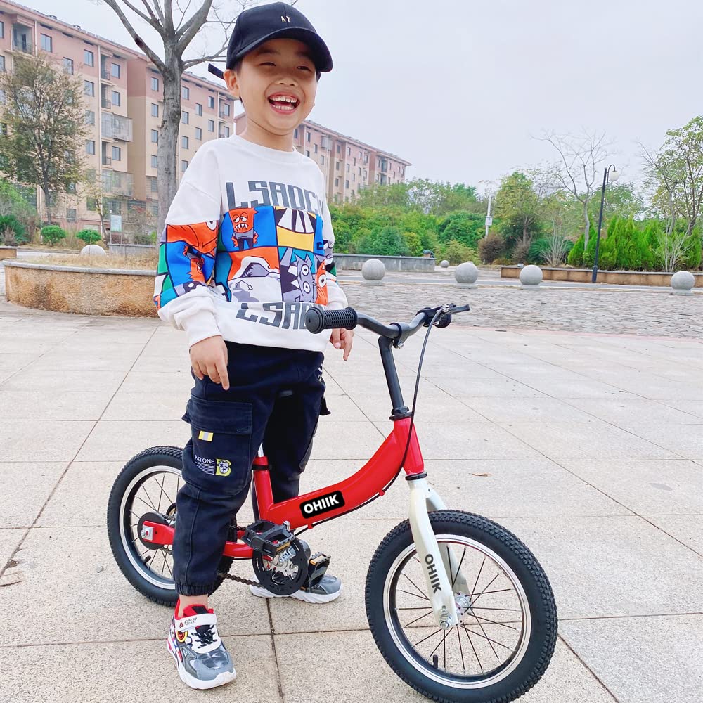 2 in 1 Balance Bike with Pedal Kit, Training Wheels, Brakes F27733
