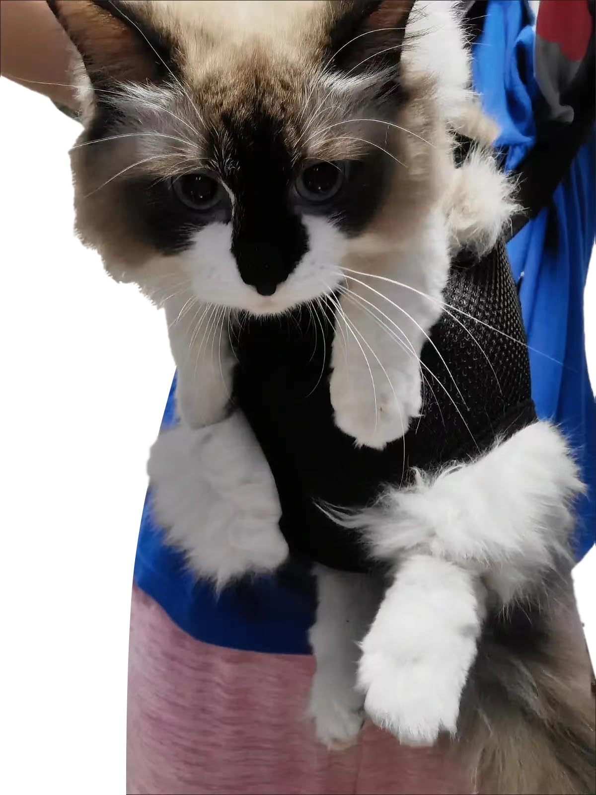 Adjustable Pet Carrier Backpack A246