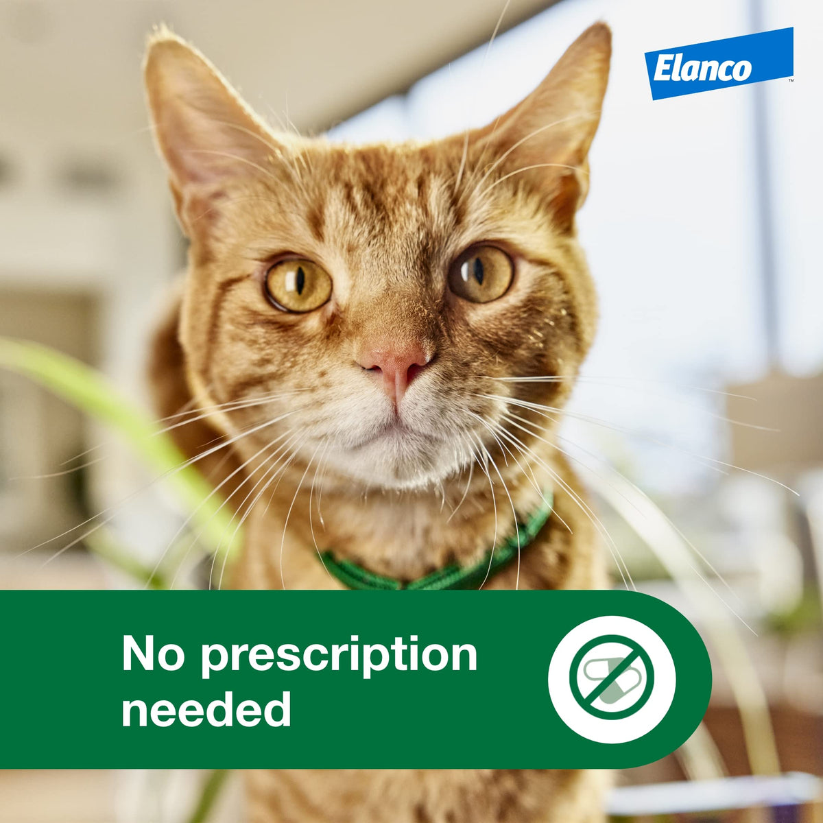 Large Cat Topical Flea Treatment & Prevention 1ct N526424