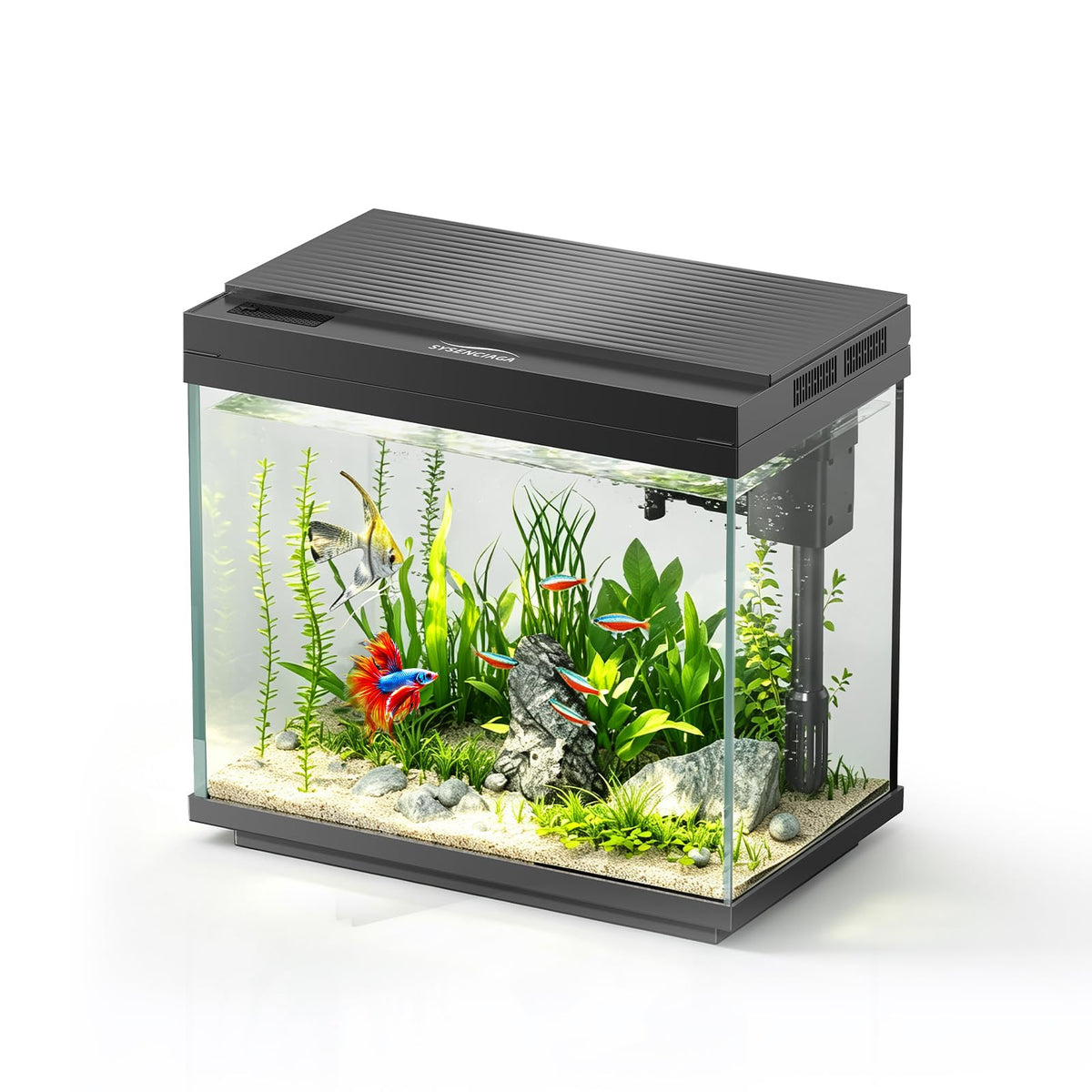 3 Gal Glass Fish Tank Kit with Filter & Light I95073
