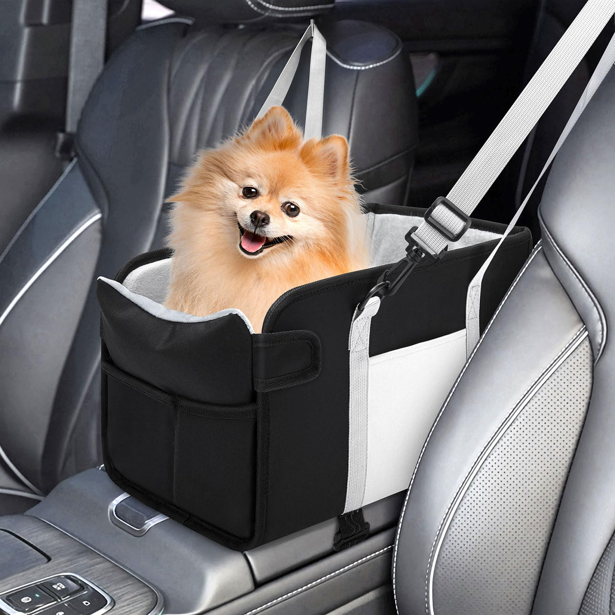 Portable Dog Car Seat for Small Dogs, Black Y3754