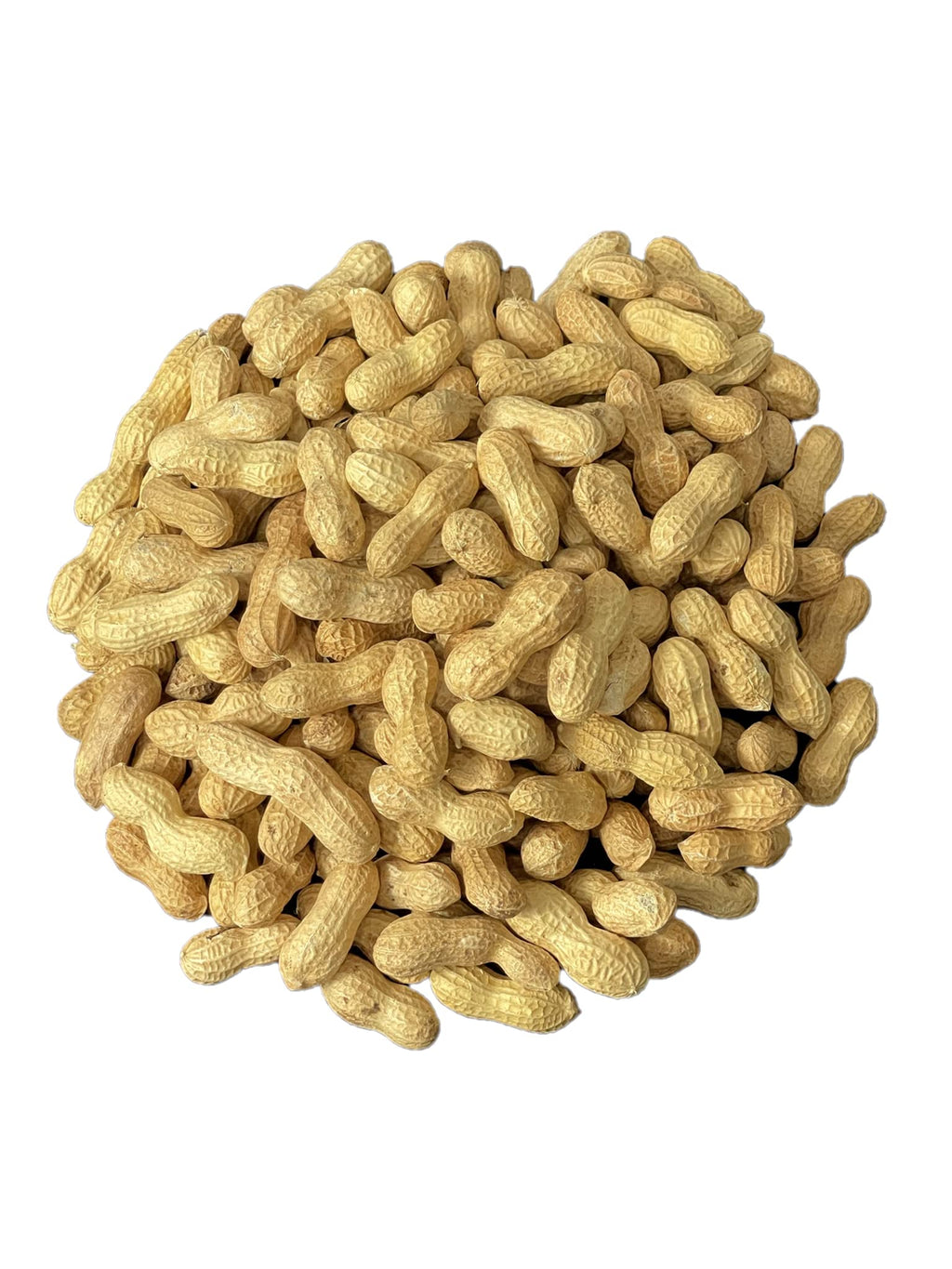 Raw Peanuts in Shell 10LB I34272