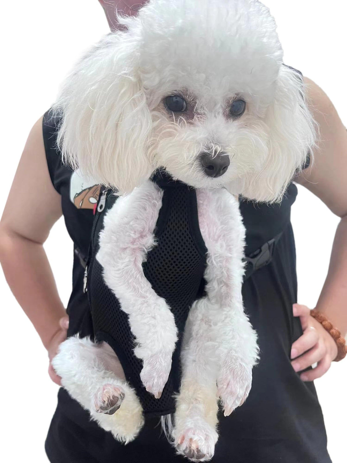 Adjustable Pet Carrier Backpack A246