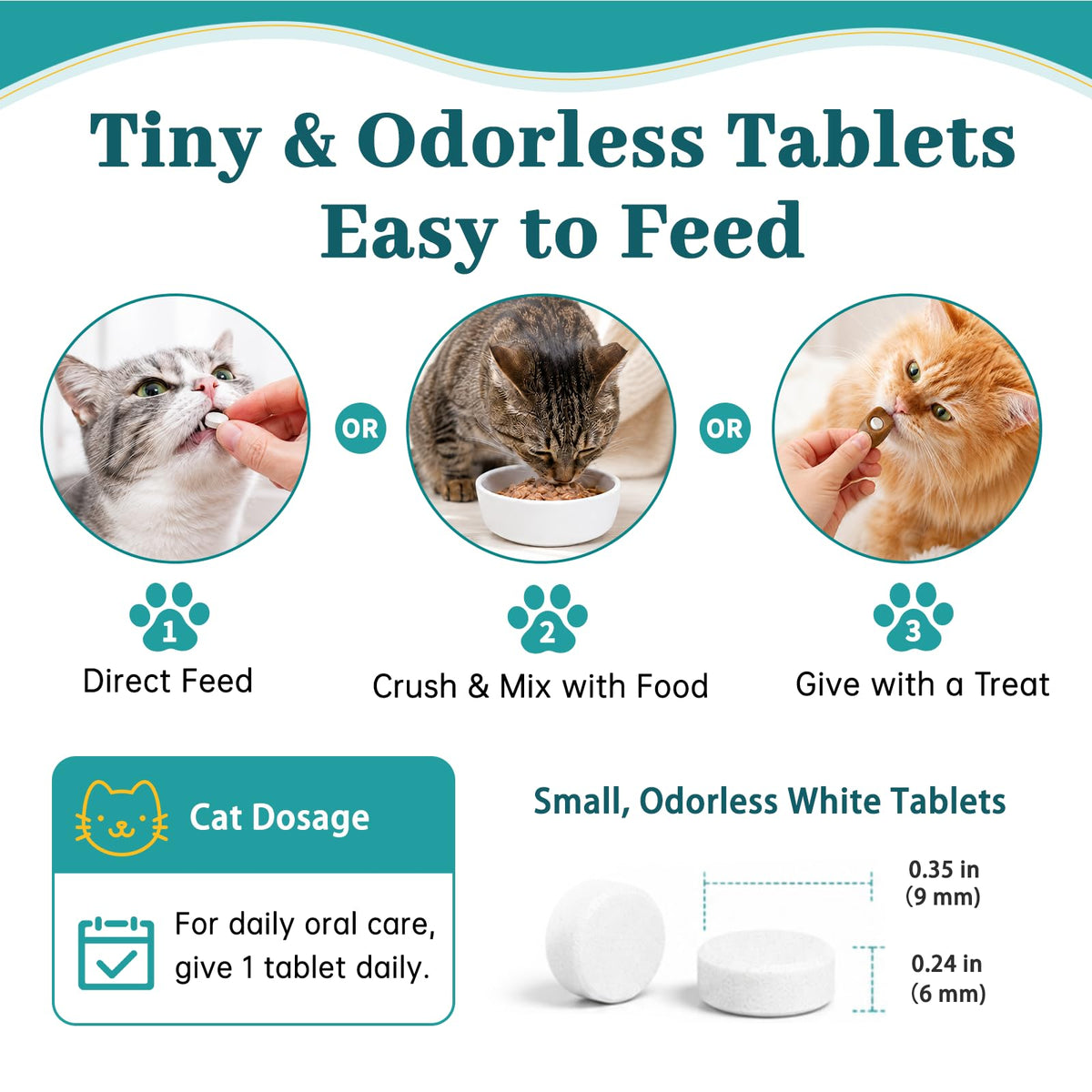 Cat Dental Care Oral Health E5347