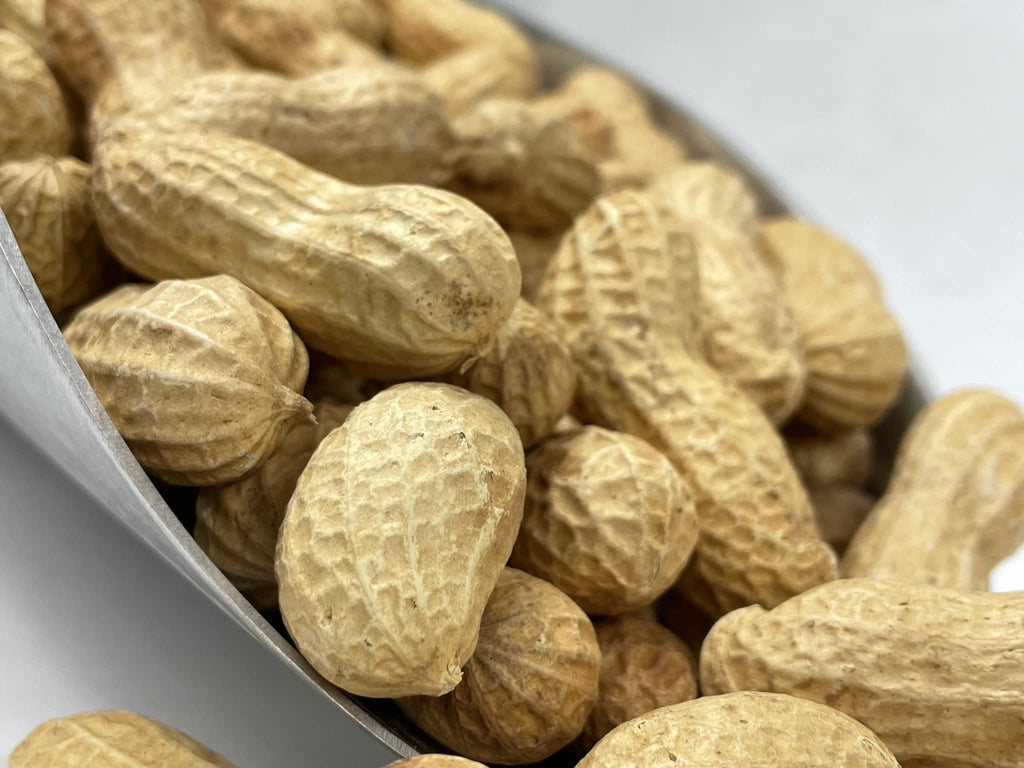 Raw Peanuts in Shell 10LB I34272