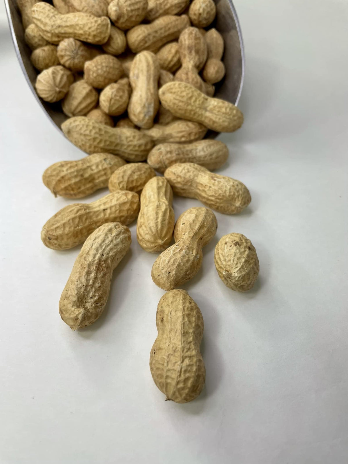 Raw Peanuts in Shell 10LB I34272