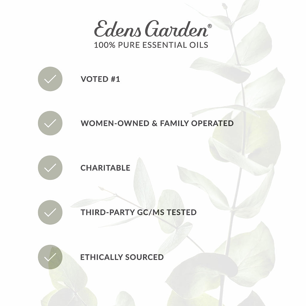Vanilla Oleoresin Essential Oil 118 ml (4 fl oz) X1320