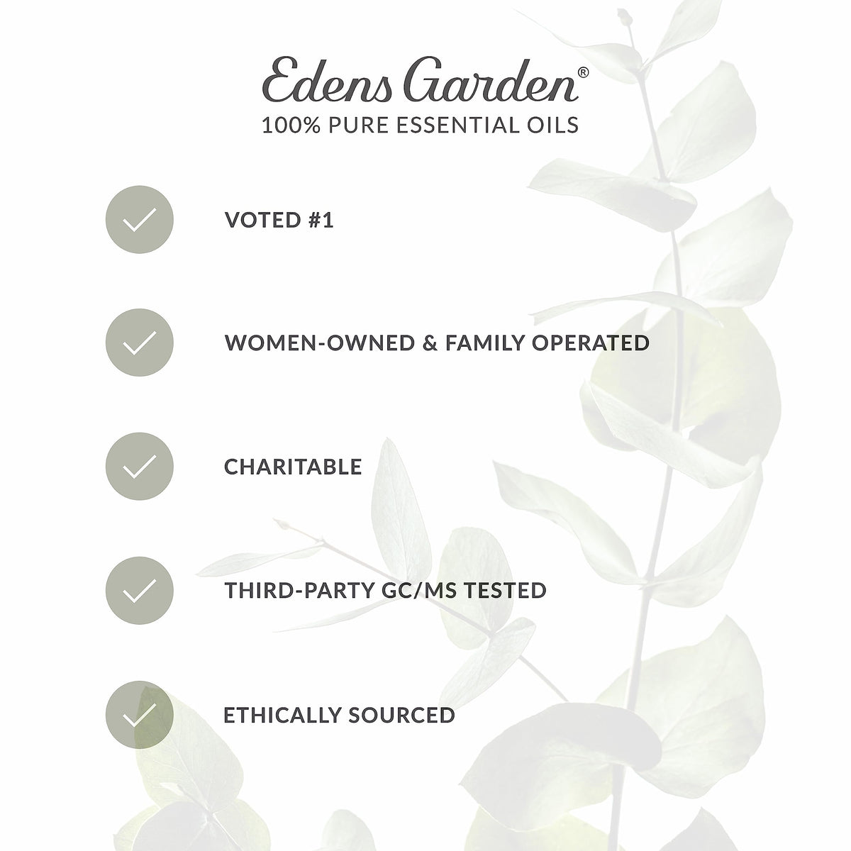 Vanilla Oleoresin Essential Oil 118 ml (4 fl oz) X1320