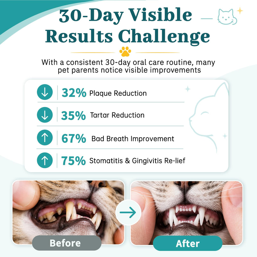 Cat Dental Care Oral Health E5347