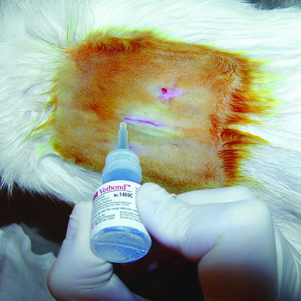 Veterinary Tissue Adhesive 0.1 oz C940032