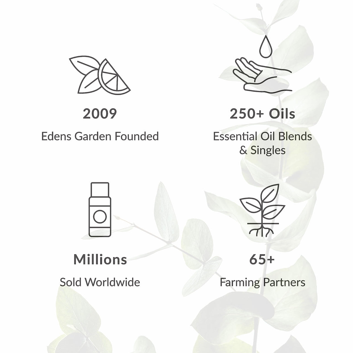 Vanilla Oleoresin Essential Oil 118 ml (4 fl oz) X1320