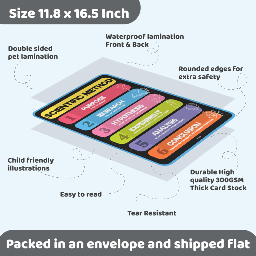 Science Posters for Kids Classroom Decor S7433