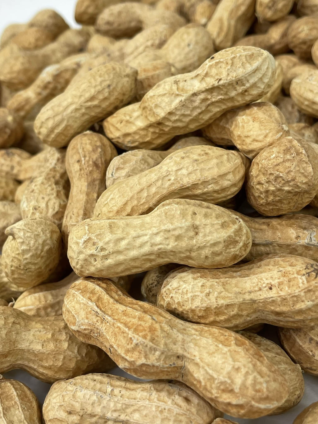 Raw Peanuts in Shell 10LB I34272