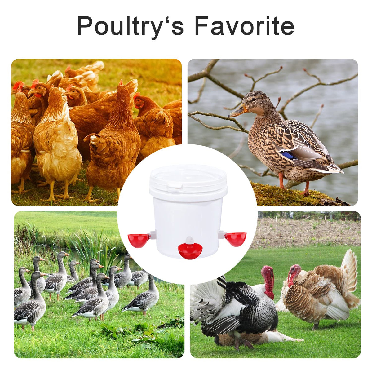8 Packs Chicken Waterer Cups with Mounting Hole Opener W35219