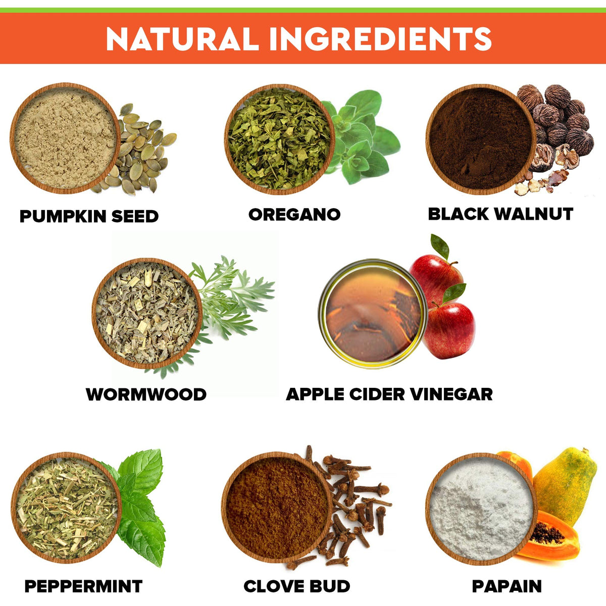 Herbal Cleanse for Dogs and Cats 2fl.oz X80586