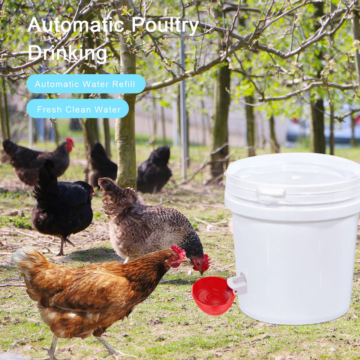 8 Packs Chicken Waterer Cups with Mounting Hole Opener W35219