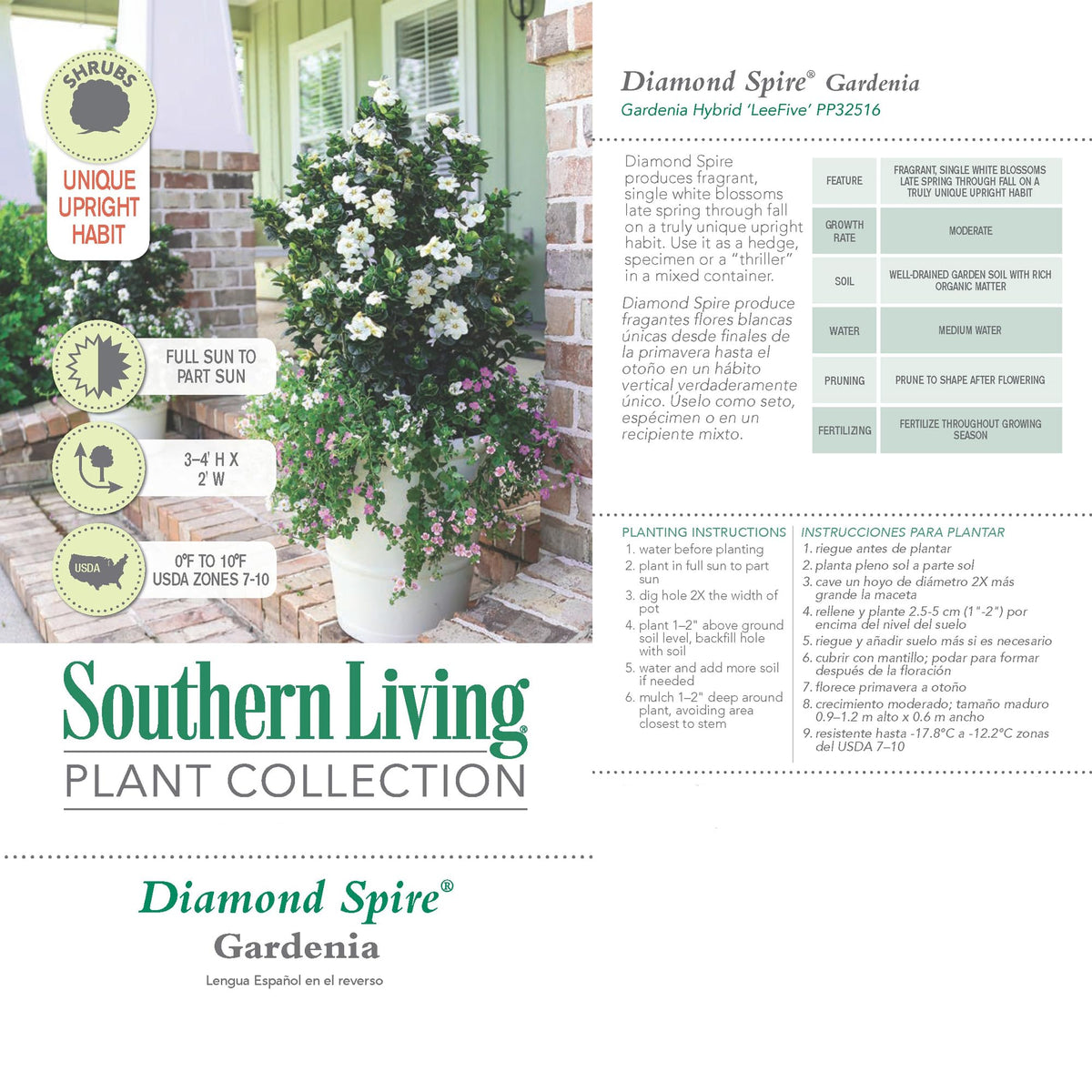 2 Gallon Gardenia Shrub X36694