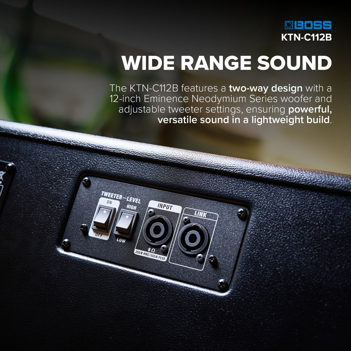 Bass Speaker Cabinet K6320
