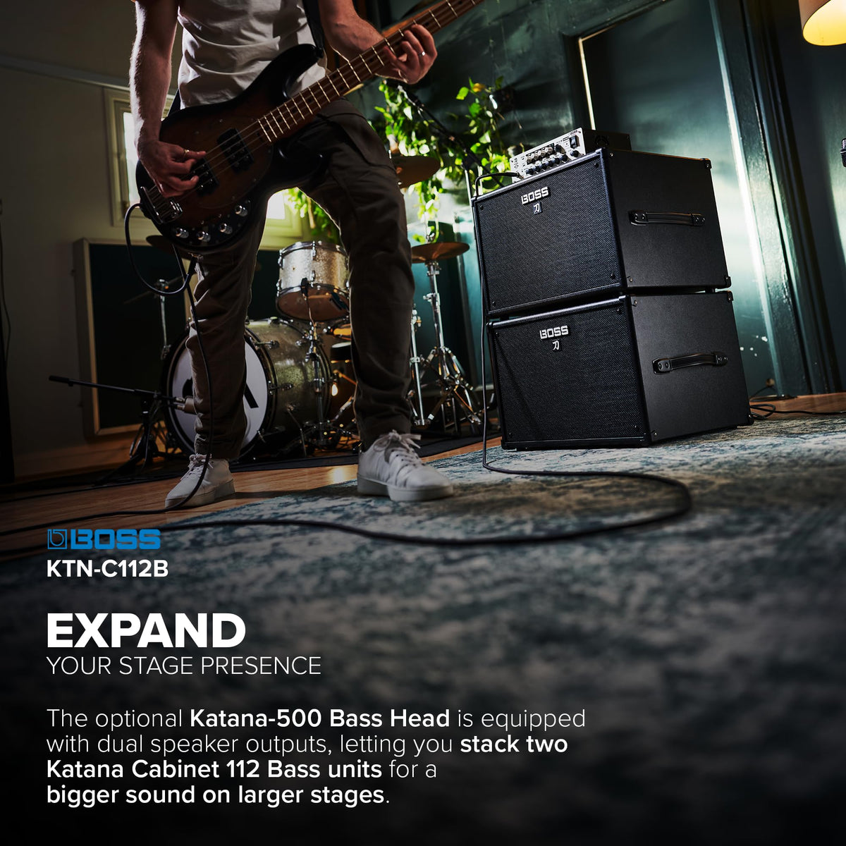 Bass Speaker Cabinet K6320