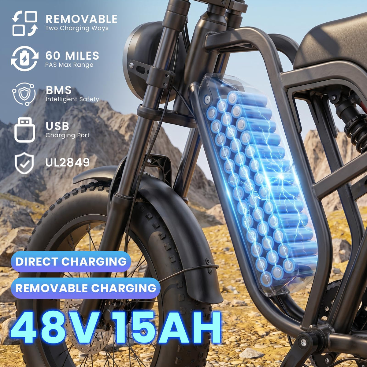 1500W Electric Bike with 48V 15Ah Removable Battery N41056