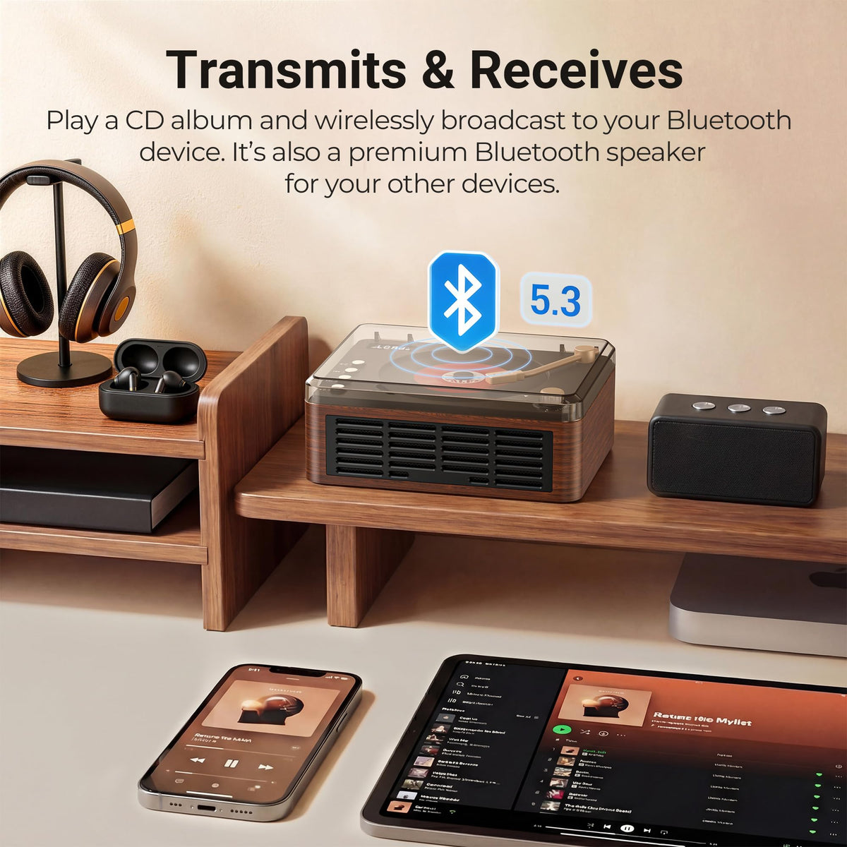 Portable CD Player with Speaker, Bluetooth, FM Radio, Walnut Brown R534216