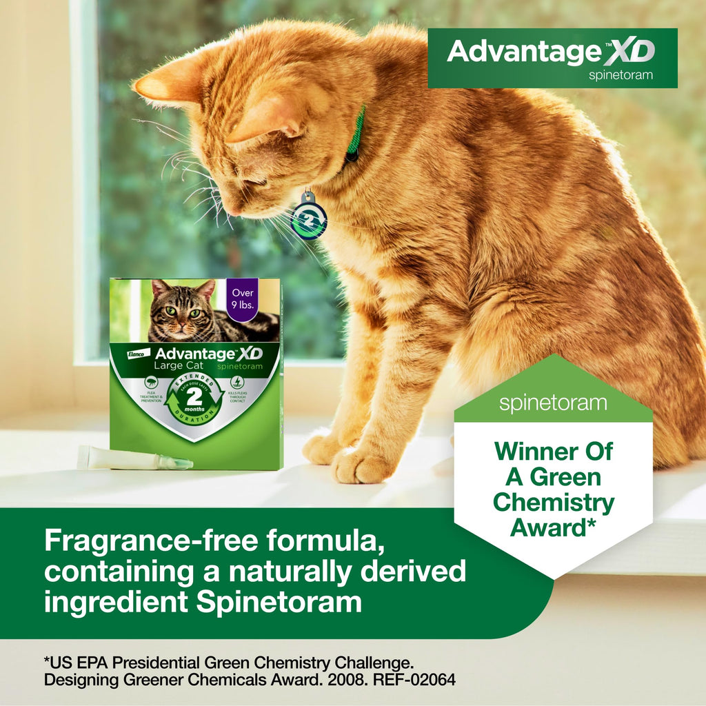 Large Cat Topical Flea Treatment & Prevention 1ct N526424