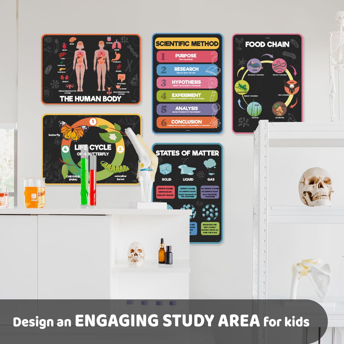 Science Posters for Kids Classroom Decor S7433
