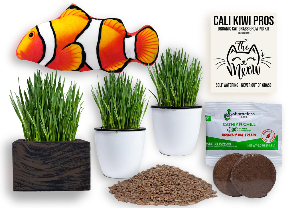 Organic Cat Grass Kit with Interactive Fish Toy B8449