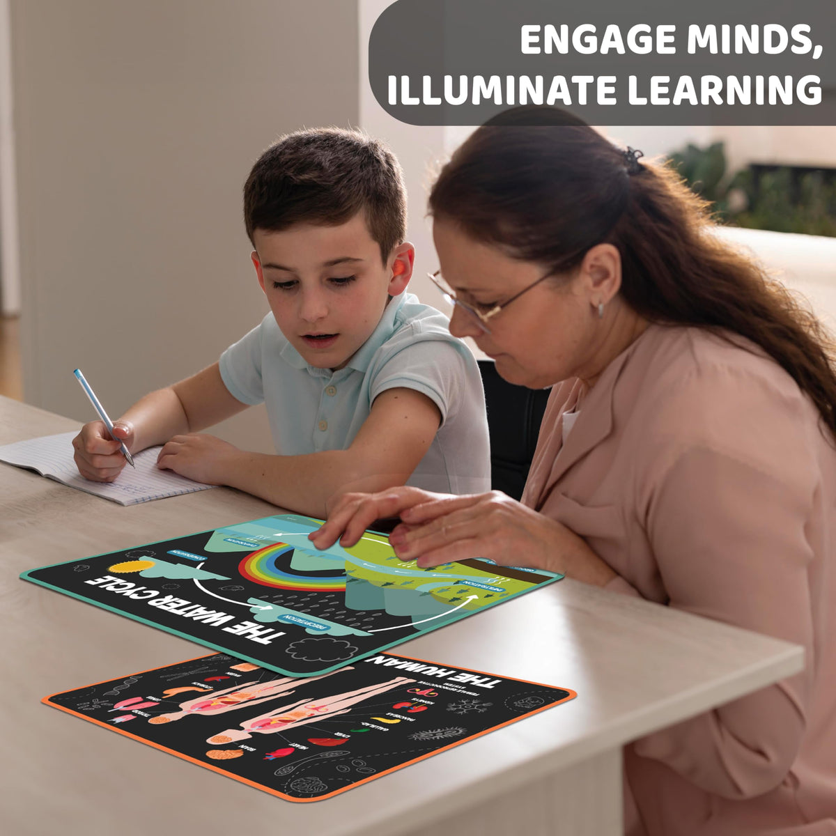 Science Posters for Kids Classroom Decor S7433