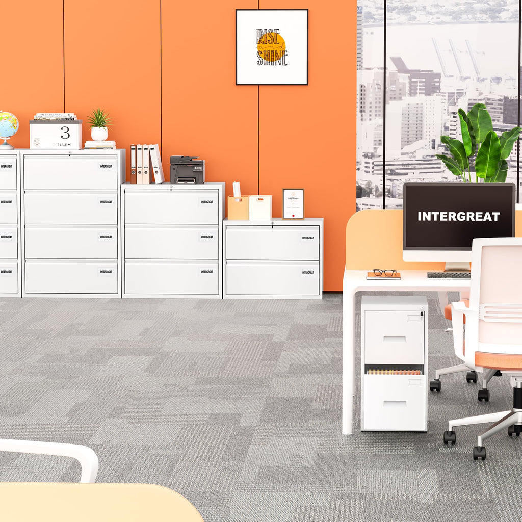 White 2 Drawer Lateral File Cabinet with Lock J756593