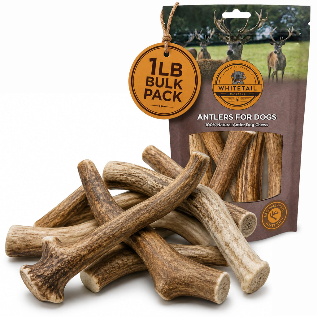 Whole Deer Antlers for Dogs 1 lb Bulk Pack Y654735